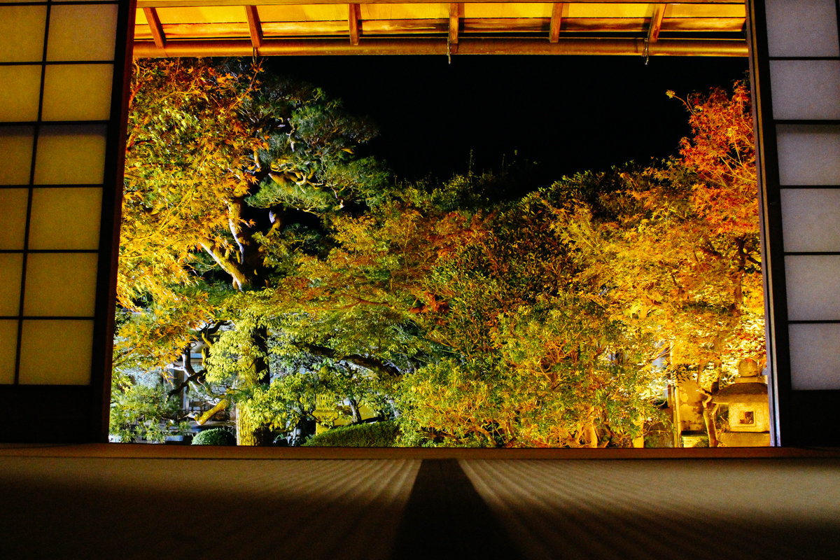 2018年秋 妙顯寺 7