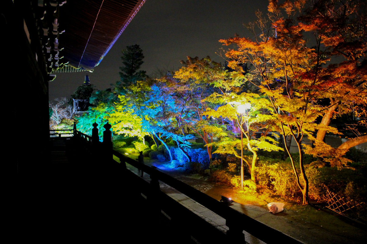 2018年秋 妙顯寺 9