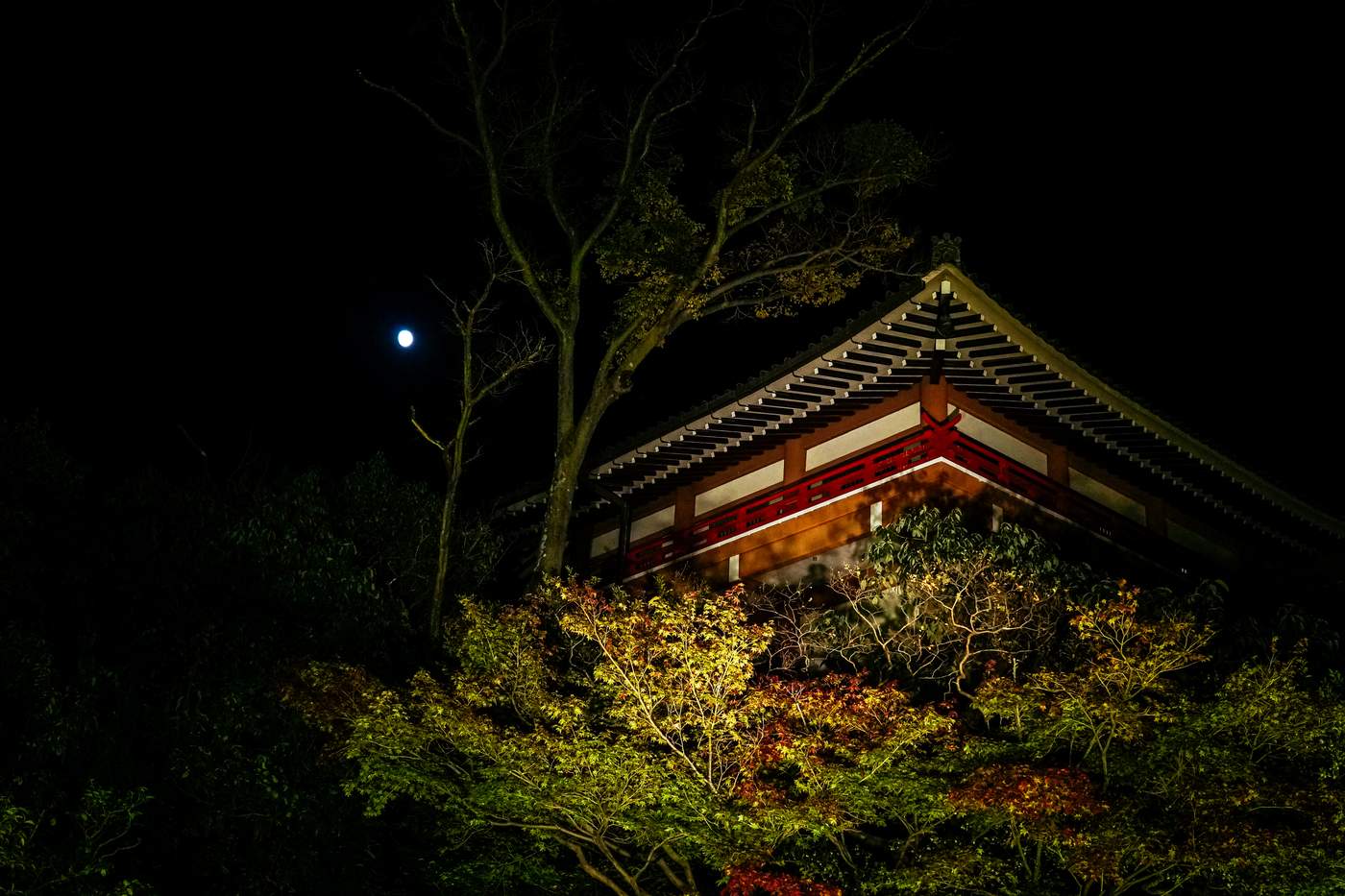 2019年秋 63