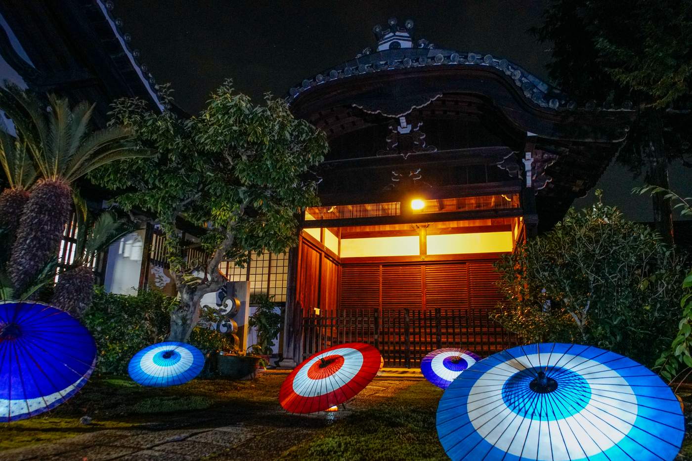 2019年秋 73