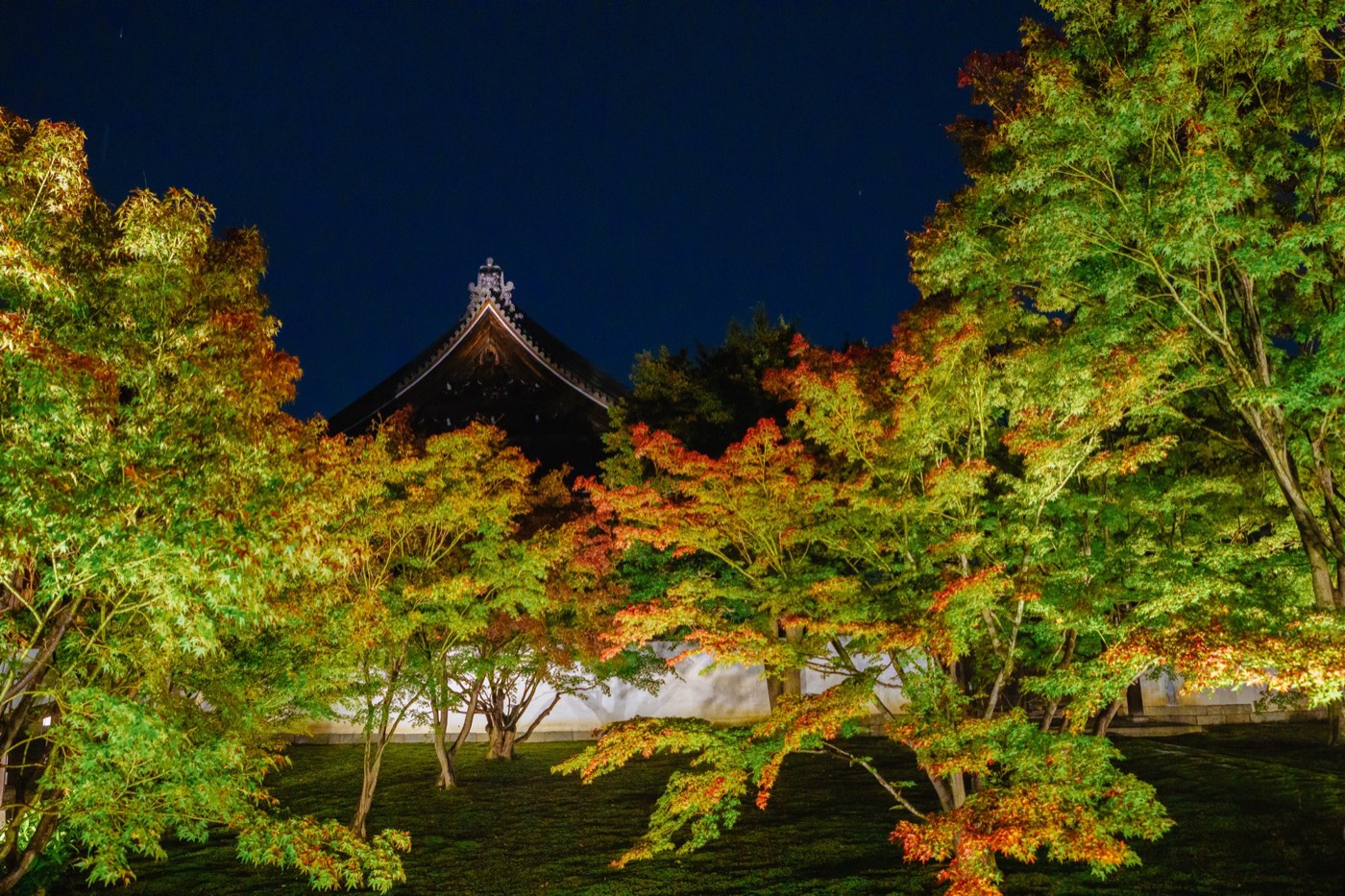 2020年秋 妙覺寺 3