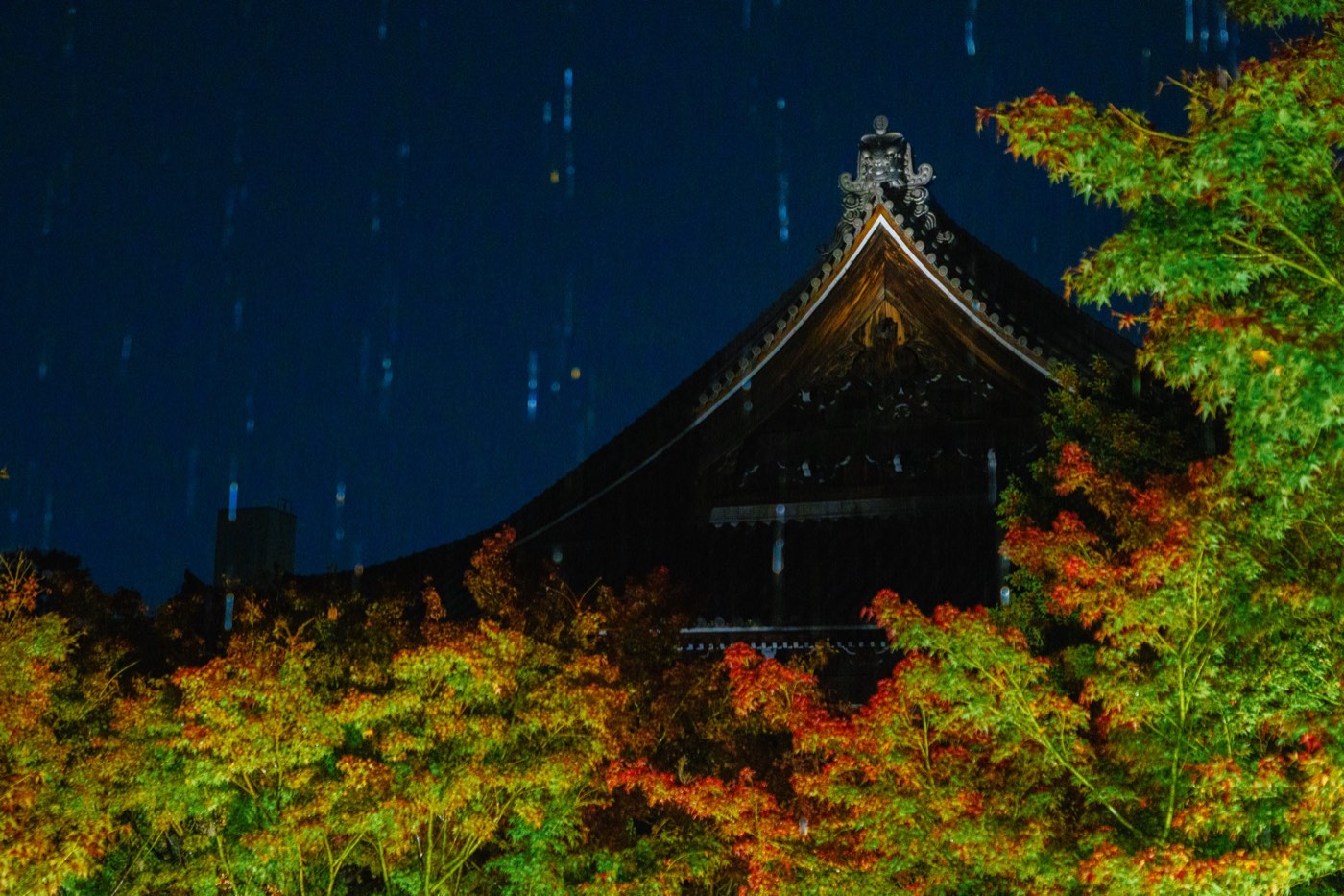2020年秋 妙覺寺 9