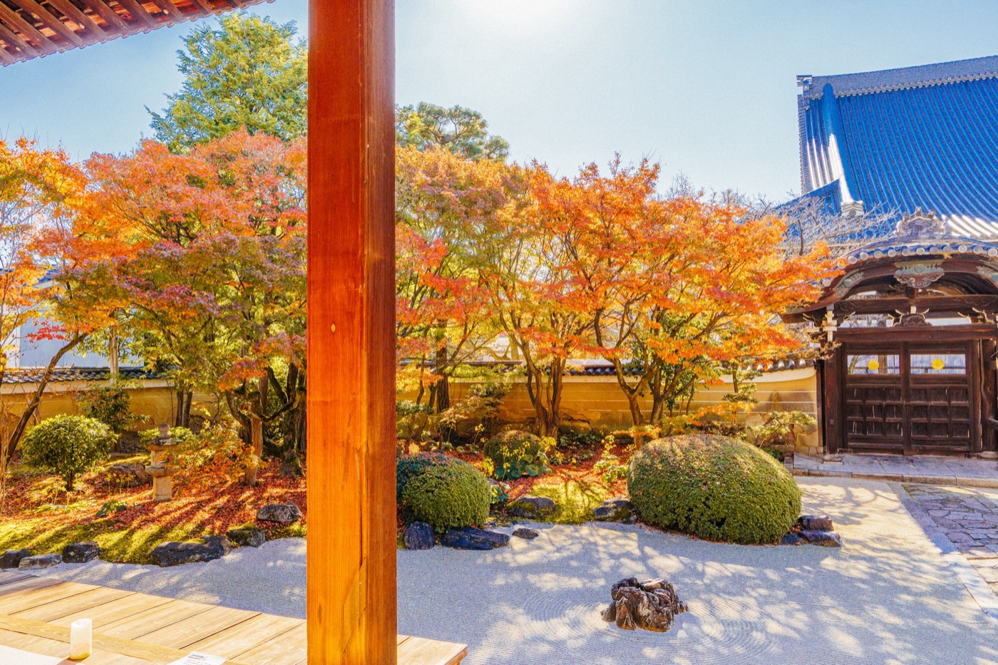 2020年秋 妙顯寺 1