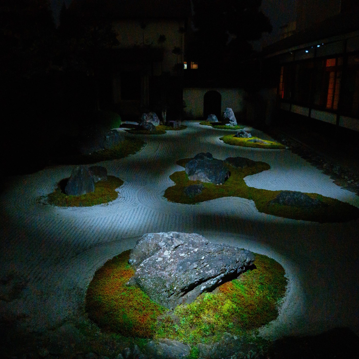 2020年秋 妙蓮寺 7