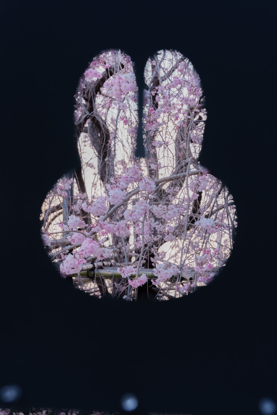 2023年春 27