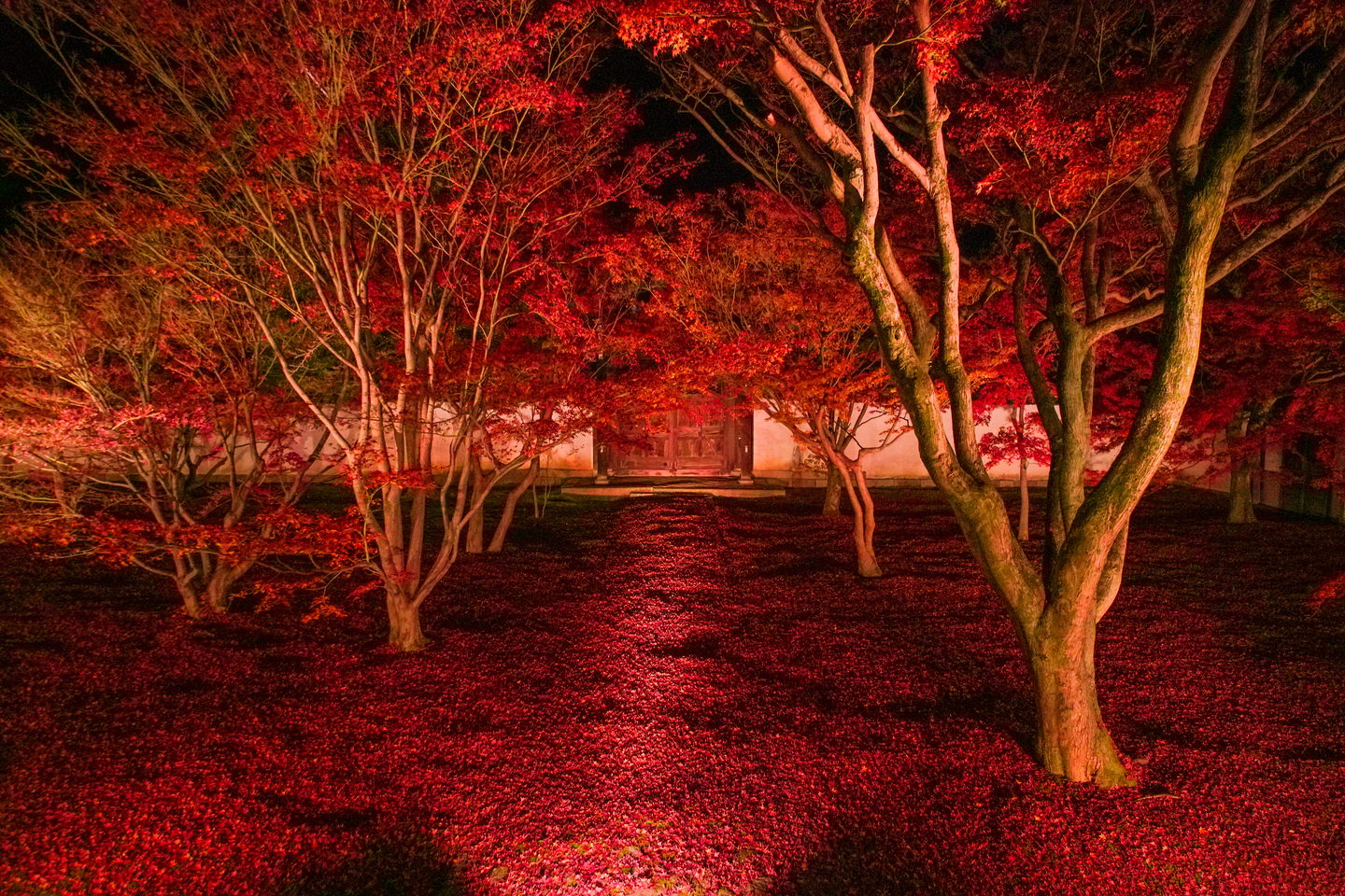 妙覺寺